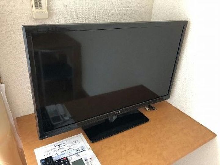 レオパレスラ テラのその他画像