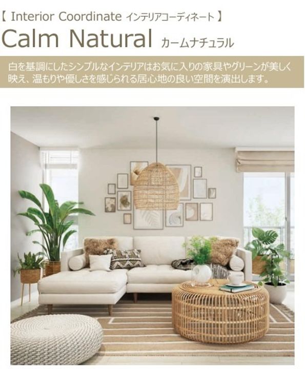ベルシャンメゾンの居間