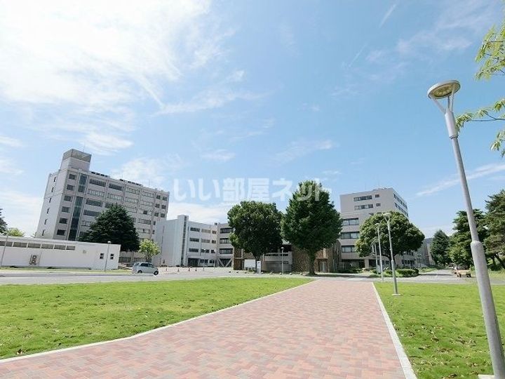 ラフレシールAの周辺
