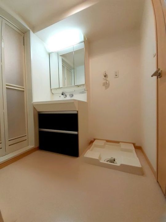 ファレノプシスの内装