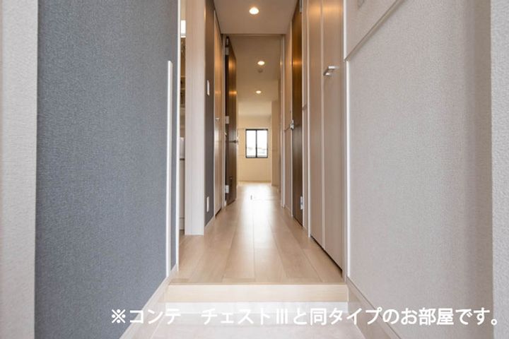 滋賀県守山市水保町(アパート)の賃貸物件の玄関