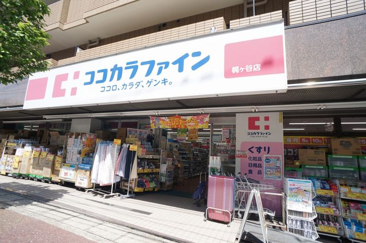 フォーレスト梶ヶ谷の周辺