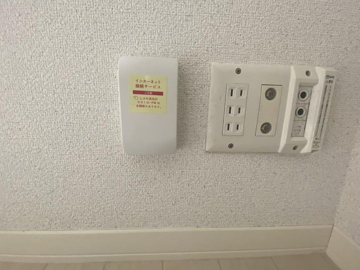 エヴァーグリーンのその他画像