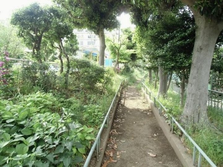 東京都杉並区下高井戸1の賃貸マンションの周辺
