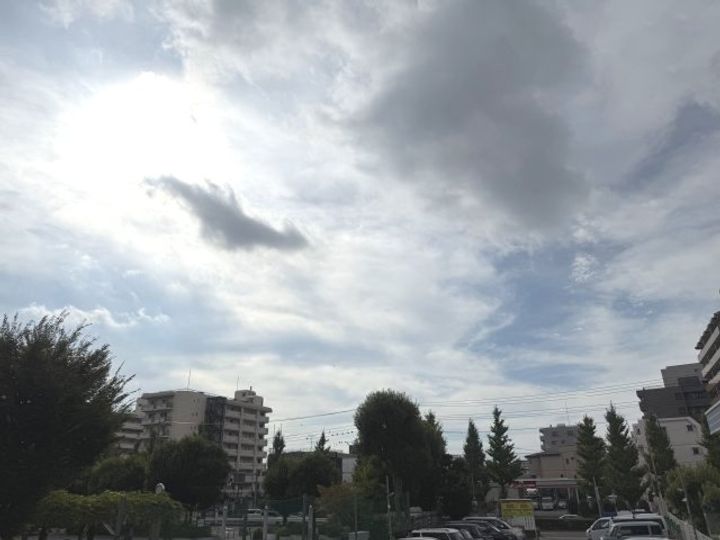 ワイティーコートのその他画像