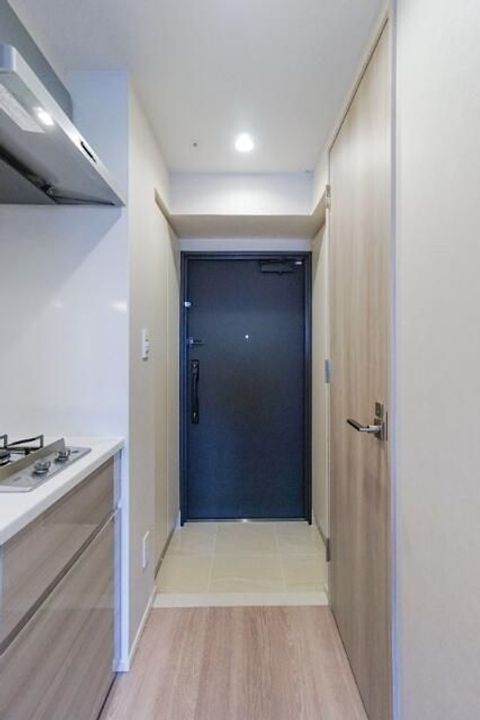 東京都墨田区業平4(マンション)の賃貸物件の玄関