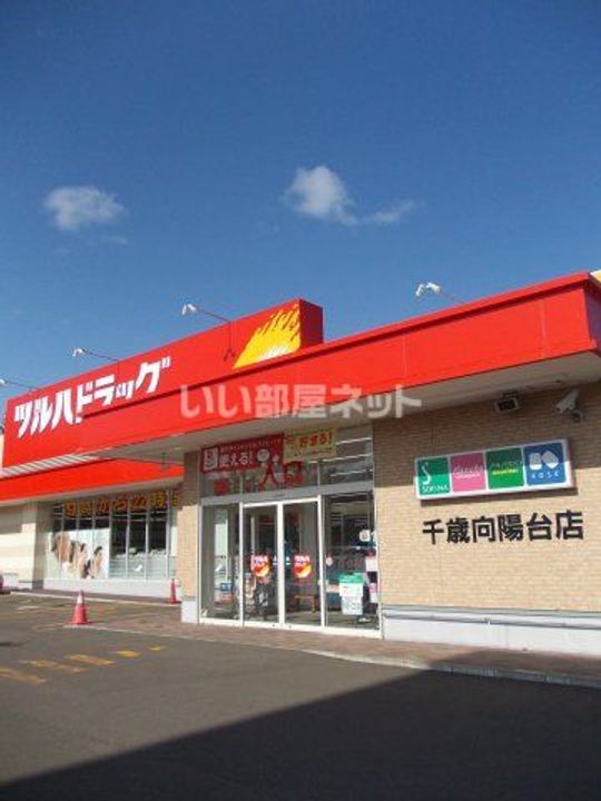 ひまわりVの周辺