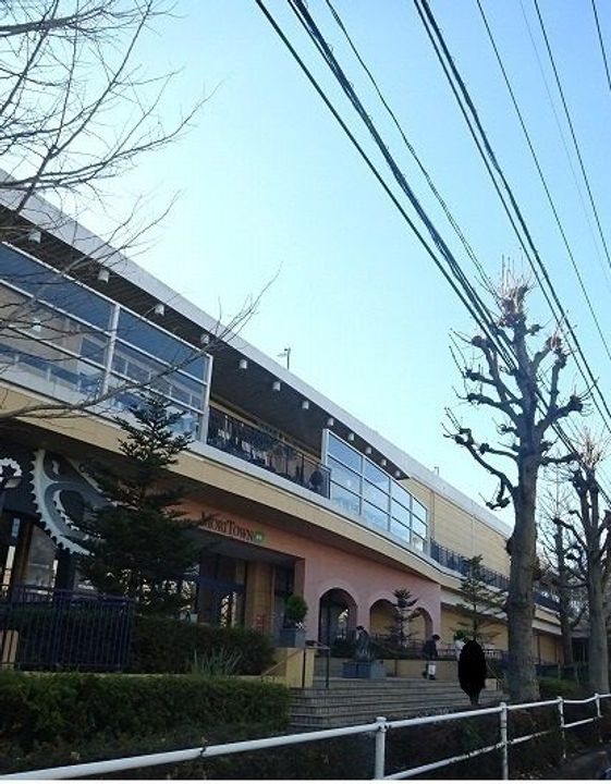セディの周辺