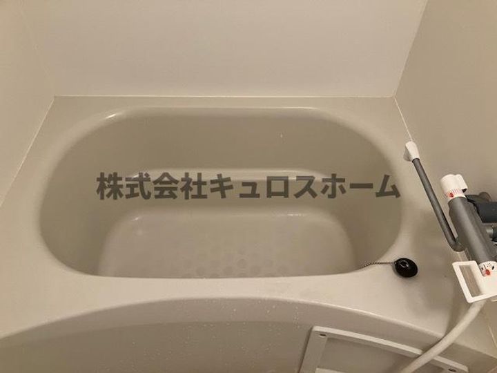 大阪府大阪市生野区巽南5の賃貸マンションの風呂