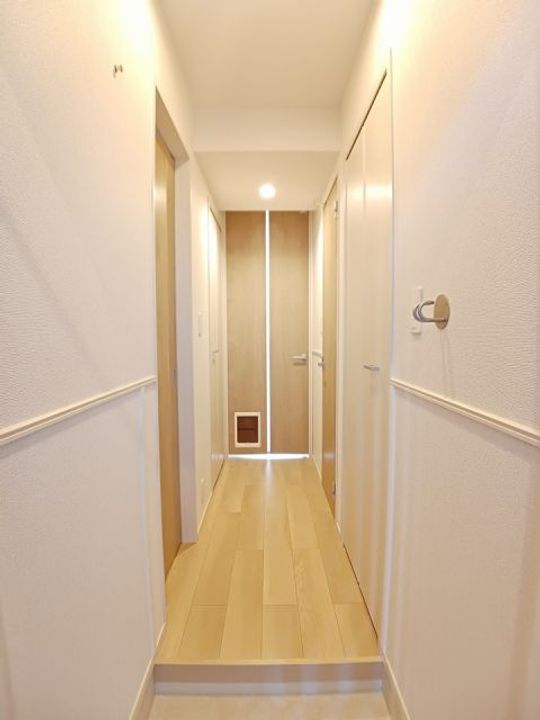 滋賀県栗東市手原1(アパート)の賃貸物件の玄関