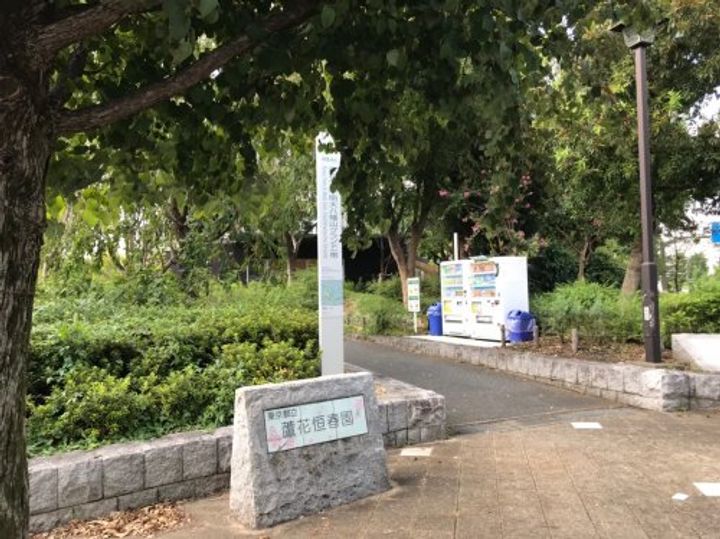 モンテヴェールの周辺