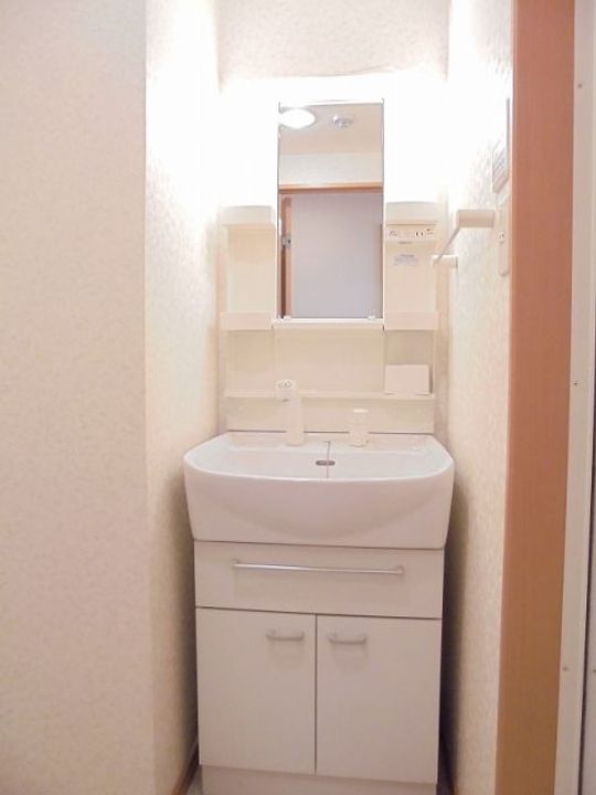 広島県東広島市西条町寺家(マンション)の賃貸物件の内装