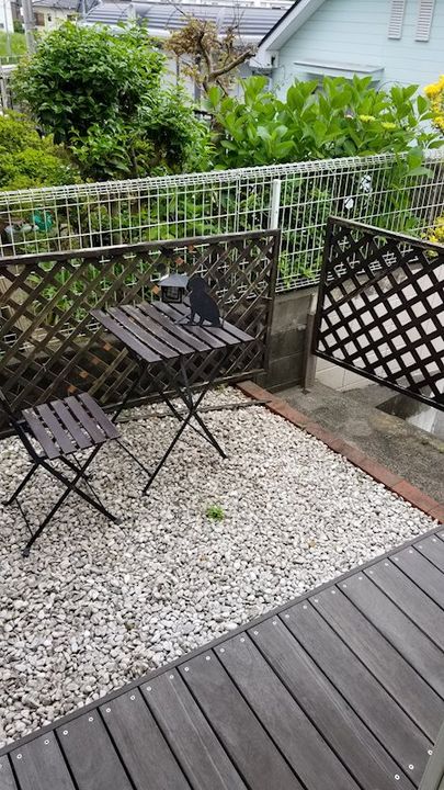 神奈川県座間市入谷東3(アパート)の賃貸物件の内装