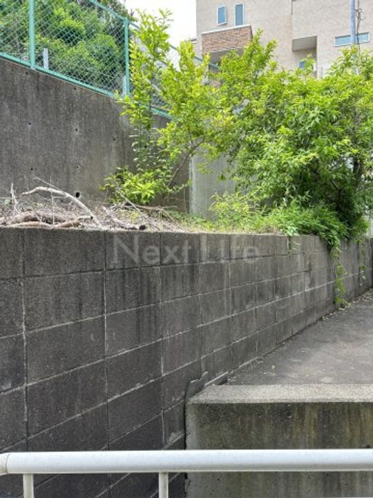 メゾン・ド東白楽のその他画像