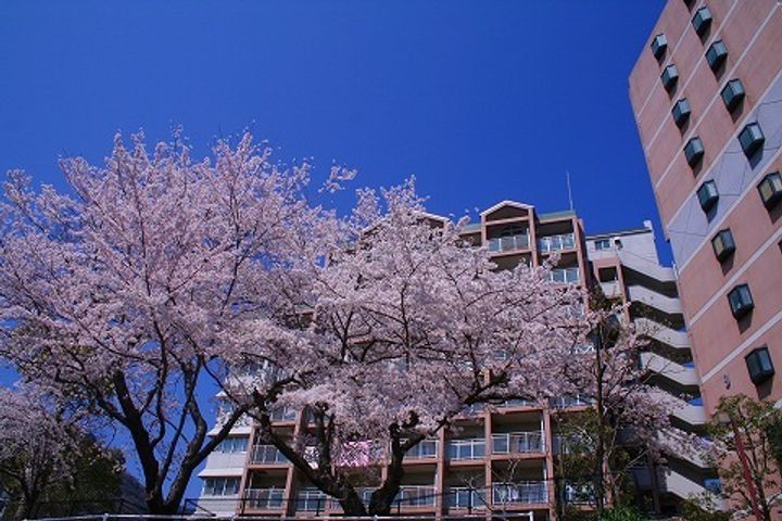 URグリーンヒルズ六甲の地図