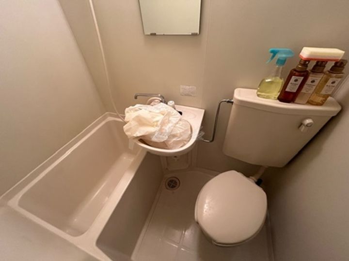 新丸子ダイカンプラザシティの風呂