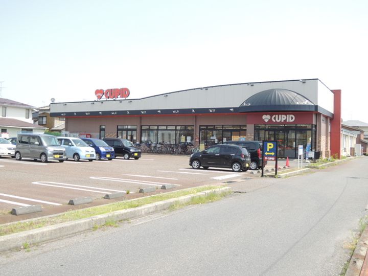 新潟県新潟市東区もえぎ野2(アパート)の賃貸物件の周辺