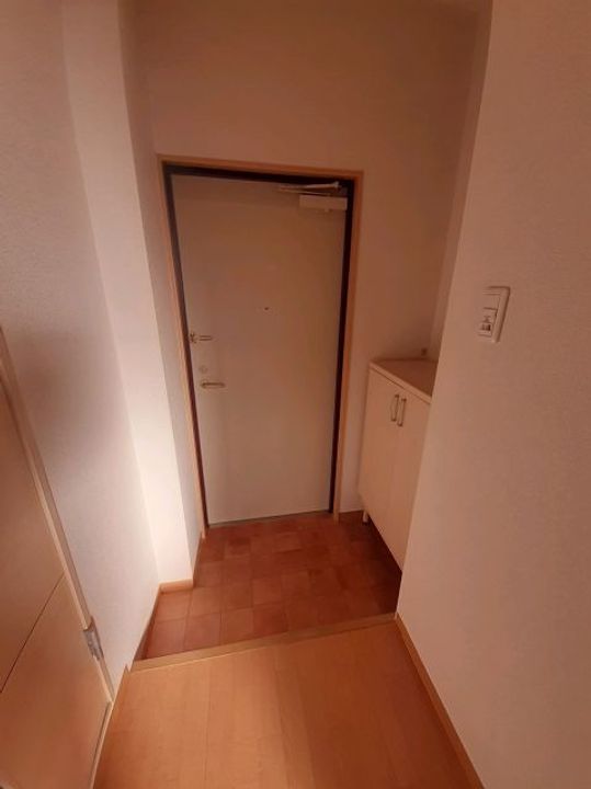奈良県天理市田井庄町の賃貸マンションの玄関