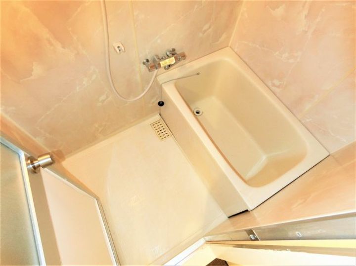 千葉県茂原市早野(マンション)の賃貸物件の風呂