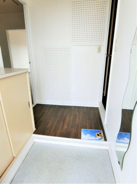 千葉県茂原市早野(マンション)の賃貸物件の玄関
