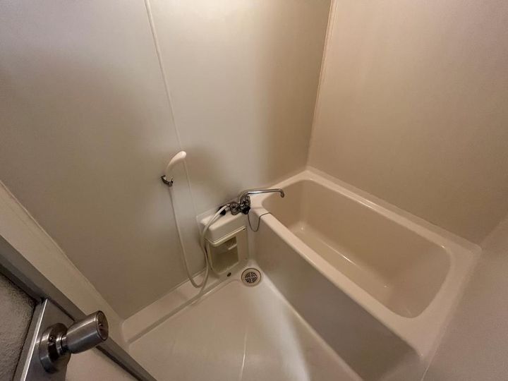 HANSEWHITEIの風呂