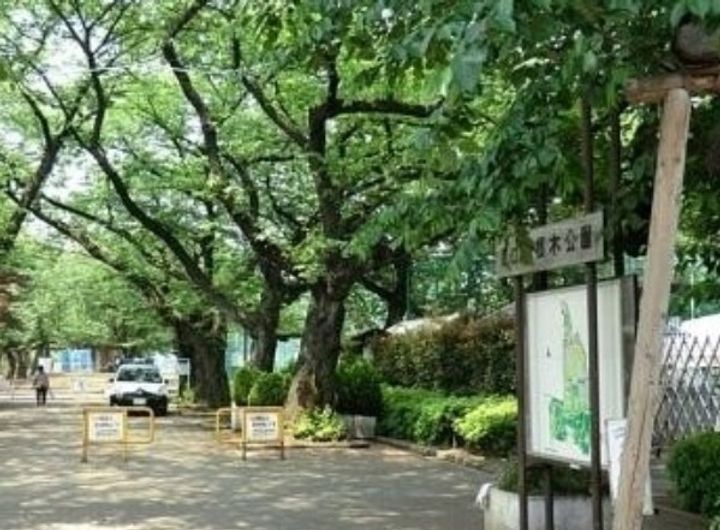 東京都世田谷区松原1(マンション)の賃貸物件の周辺