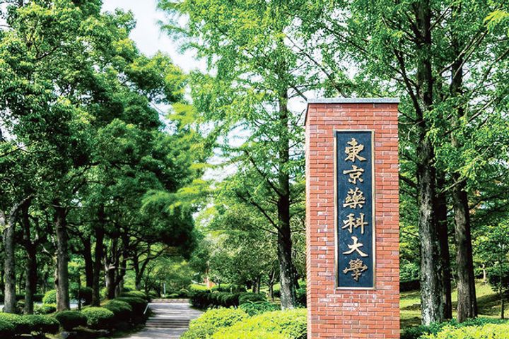 東京都八王子市松木(マンション)の賃貸物件の周辺