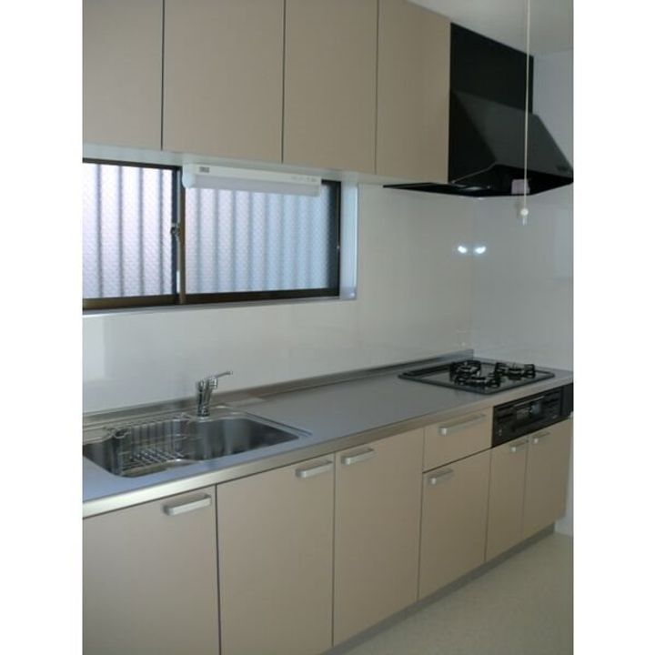 愛知県豊明市阿野町東阿野(一戸建)の賃貸物件のキッチン