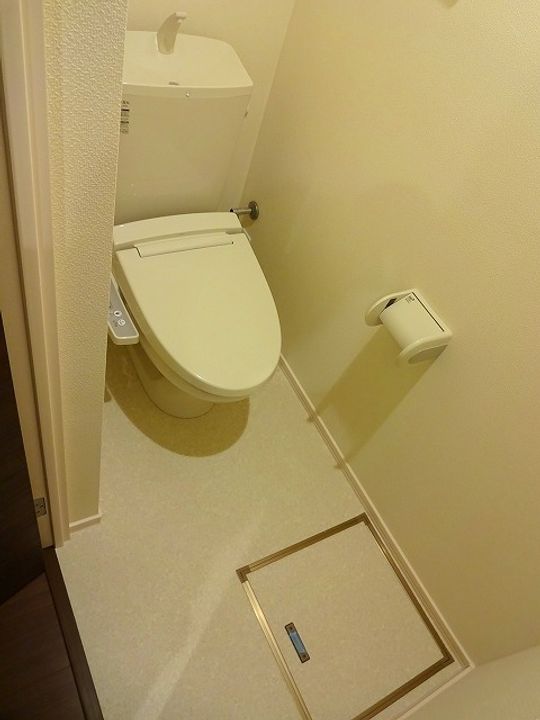 埼玉県川口市大字安行藤八(マンション)の賃貸物件の内装