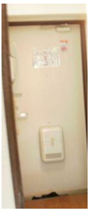 東京都大田区東蒲田1(マンション)の賃貸物件の玄関