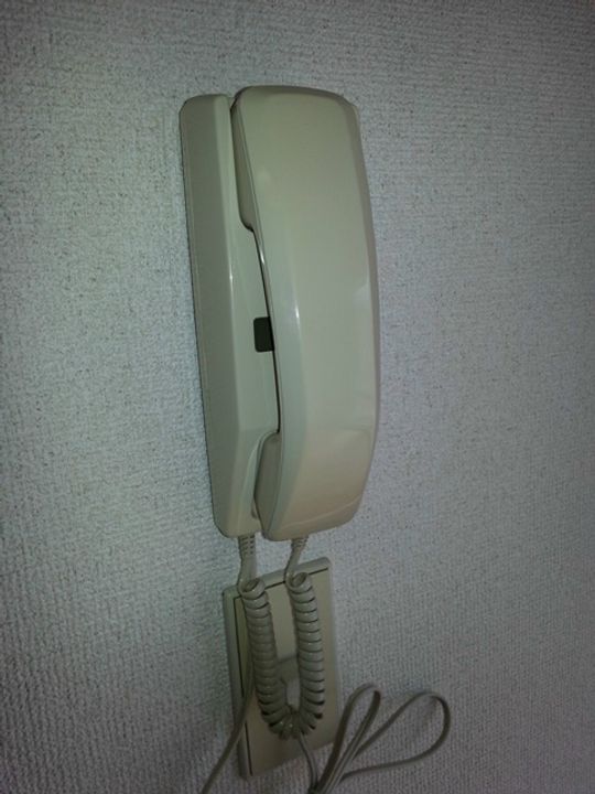 メゾン・ド・ブラン東海大学前の内装