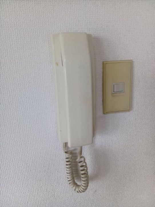 和歌山県和歌山市伝法橋南ノ丁(マンション)の賃貸物件の内装