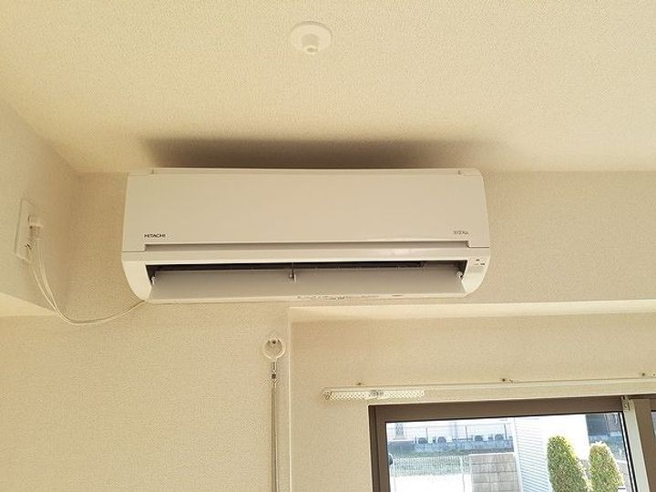 エルヴィータのその他画像