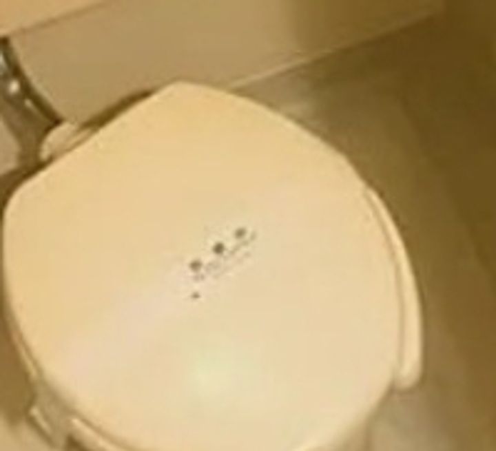 ジャヴァ八広ハイツの内装