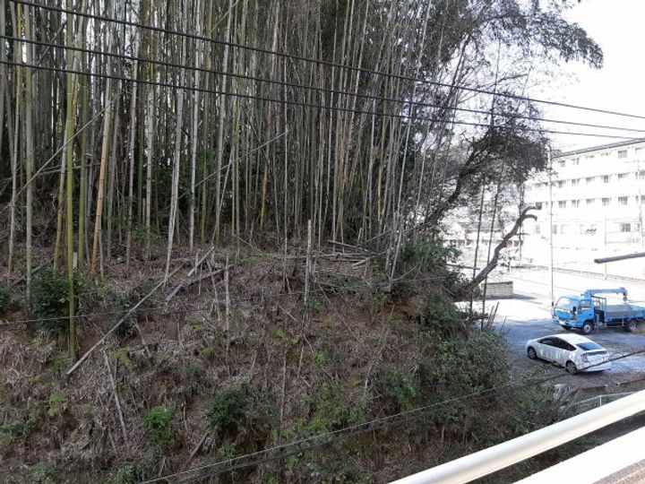 サニーパレス朝倉のその他画像