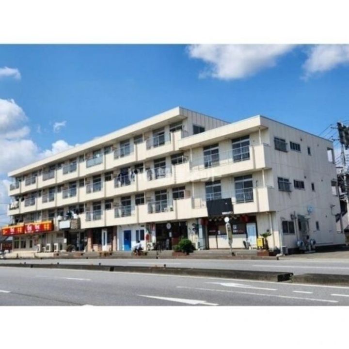 栃木県宇都宮市御幸ケ原町(マンション)の賃貸物件の外観