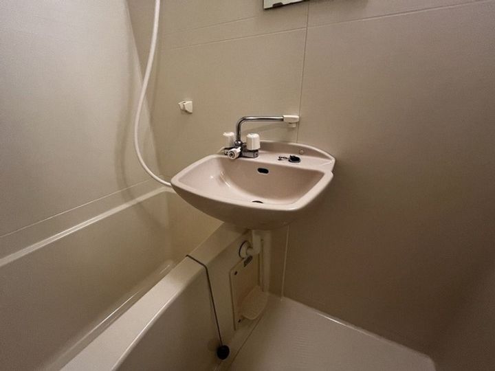 レオパレスカーサアベニューIVの風呂