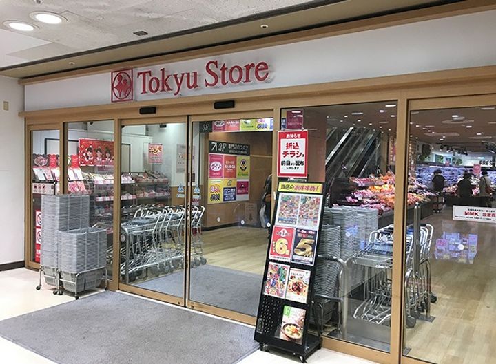 レイクサイド上池台の周辺