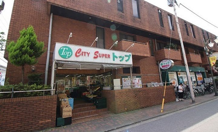 レイクサイド上池台の周辺