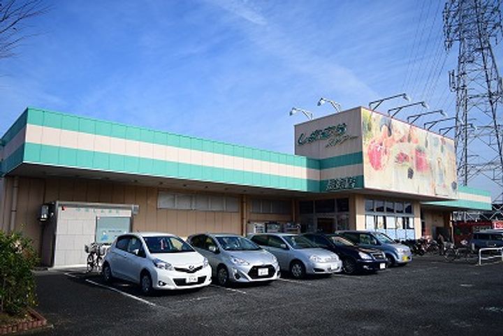 神奈川県平塚市御殿3(一戸建)の賃貸物件の周辺