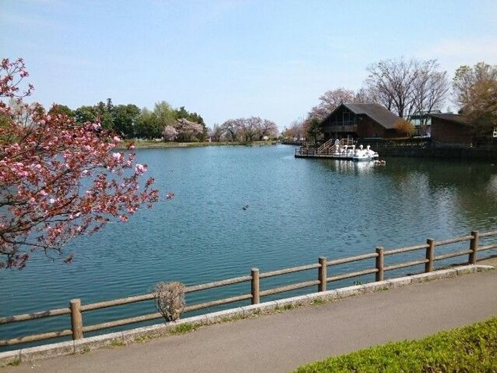 群馬県高崎市棟高町(アパート)の賃貸物件の周辺