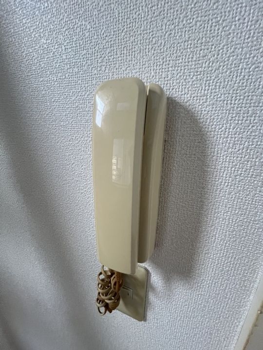 神奈川県相模原市中央区相生1(アパート)の賃貸物件の内装