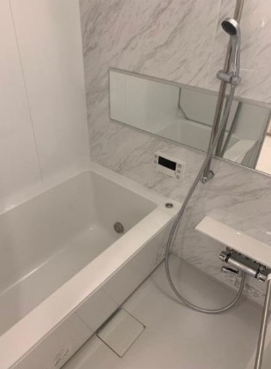 GRAN PASEO神楽坂II グランパセオ神楽坂IIの風呂