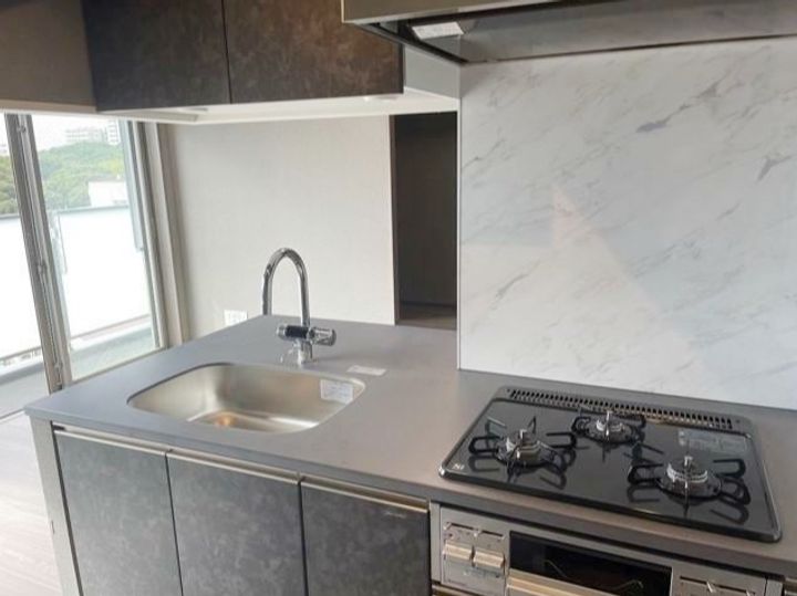 ミルーナヒルズD駒込のキッチン