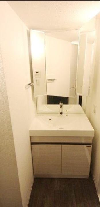 ミルーナヒルズD駒込の内装