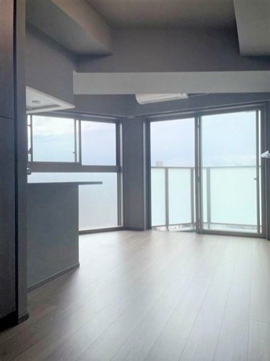 ミルーナヒルズD駒込の居間