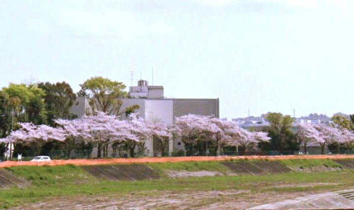 メゾン桜の周辺