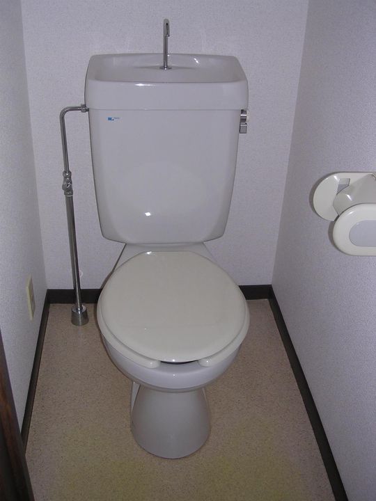 岩手県盛岡市東山1(マンション)の賃貸物件の内装