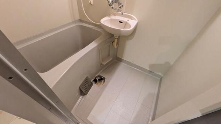 千葉県習志野市本大久保3(マンション)の賃貸物件の風呂