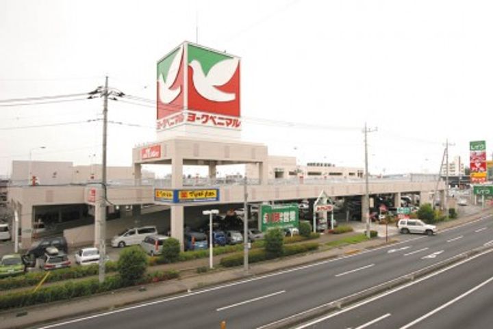 栃木県宇都宮市下岡本町(一戸建)の賃貸物件の周辺